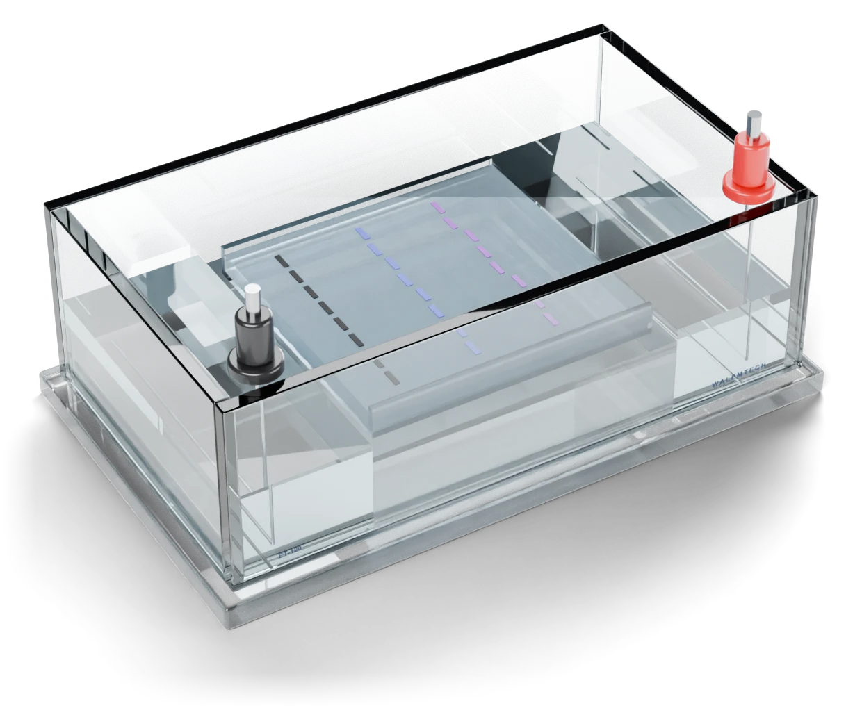 Walemtech ET-120 mini gel tank with cast agarose gel and loading dye fronts