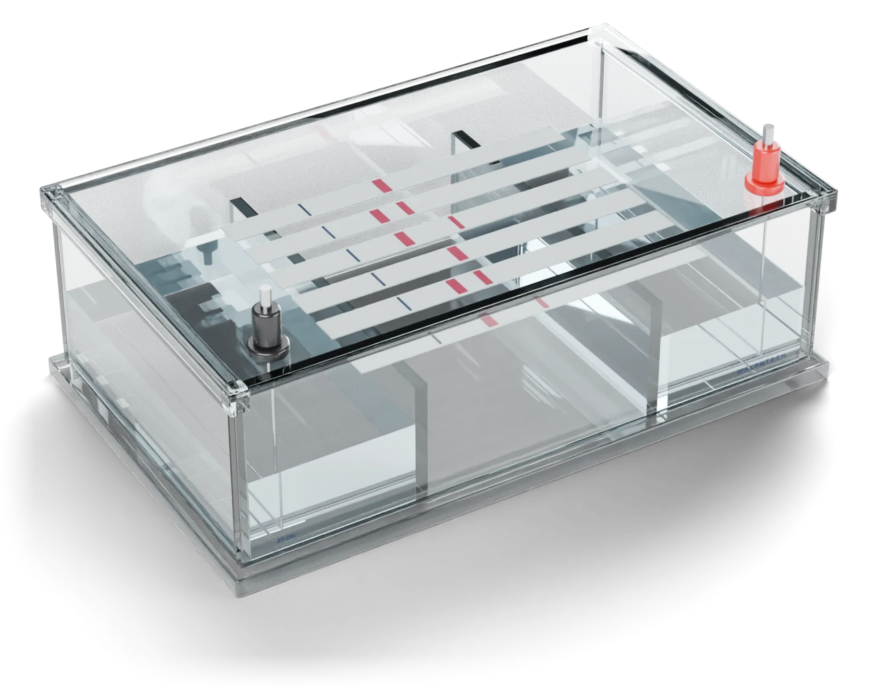 Walemtech ET-200 clear acrylic electrophoresis tank with six cellulose acetate strips